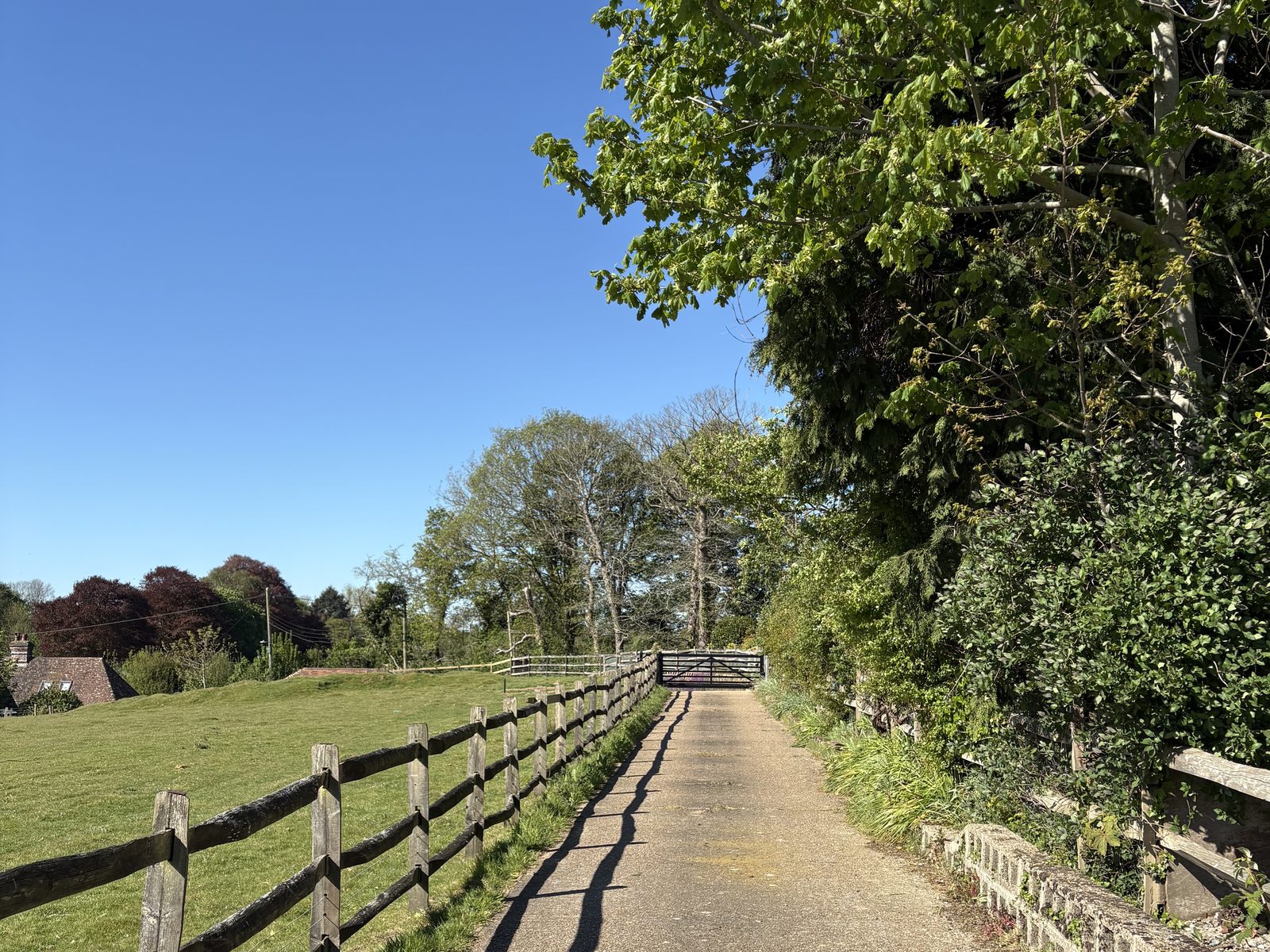 The driveway up to the yard